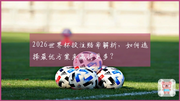 2026世界杯投注赔率解析，如何选择最优方案来赢得更多？