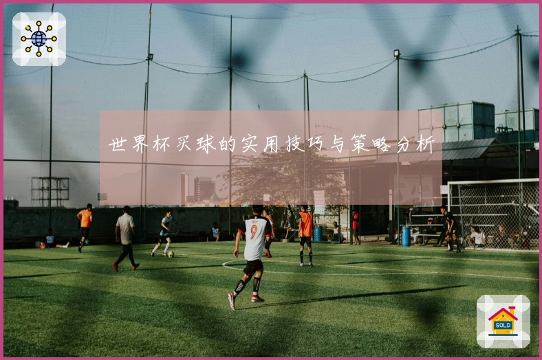 世界杯买球的实用技巧与策略分析