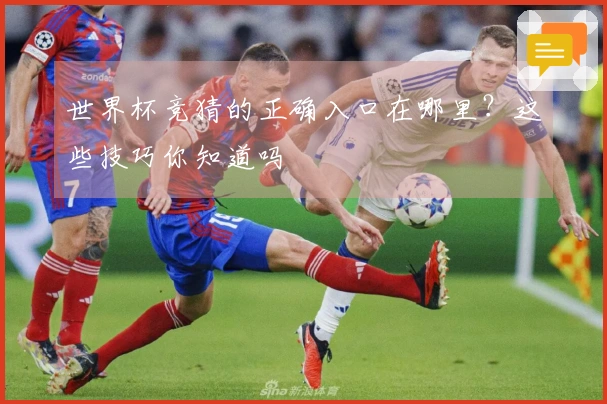 世界杯竞猜的正确入口在哪里？这些技巧你知道吗